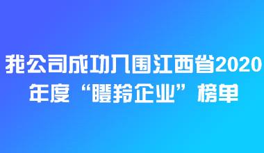 我公司成功入围江西省2020年度“瞪羚企业”榜单