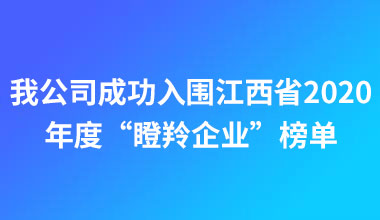 我公司成功入围江西省2020年度“瞪羚企业”榜单